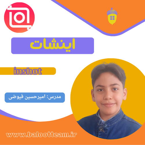 آموزش حرفه ای اینشات
